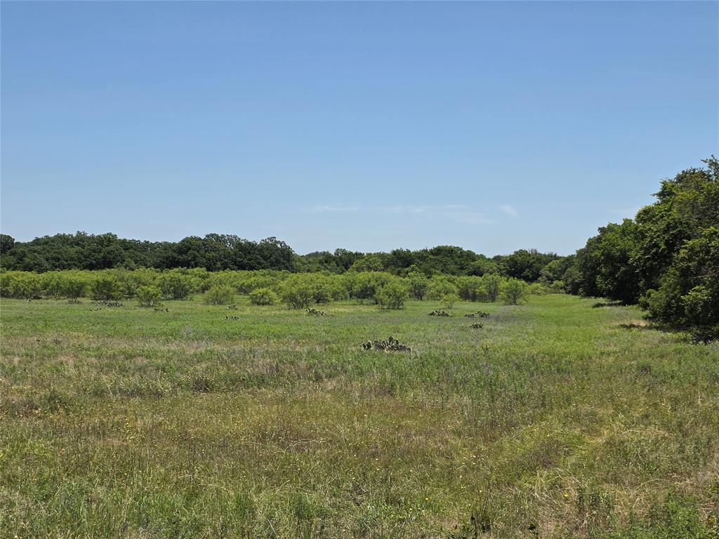 16695 County Road 421 Property Photo 38