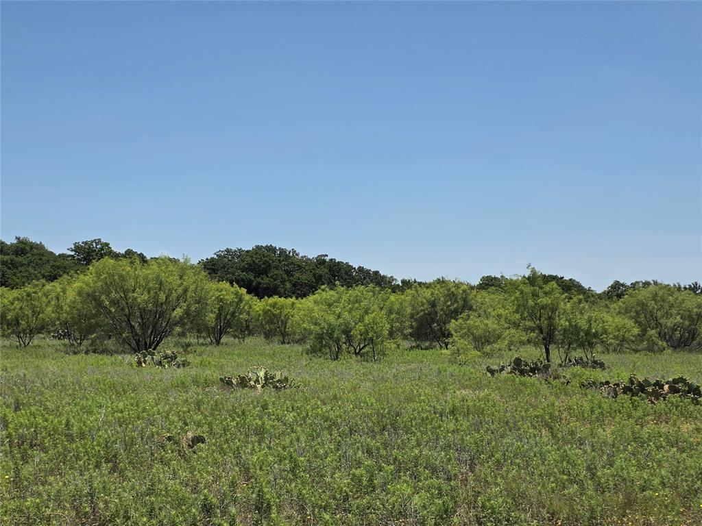 16695 County Road 421 Property Photo 39