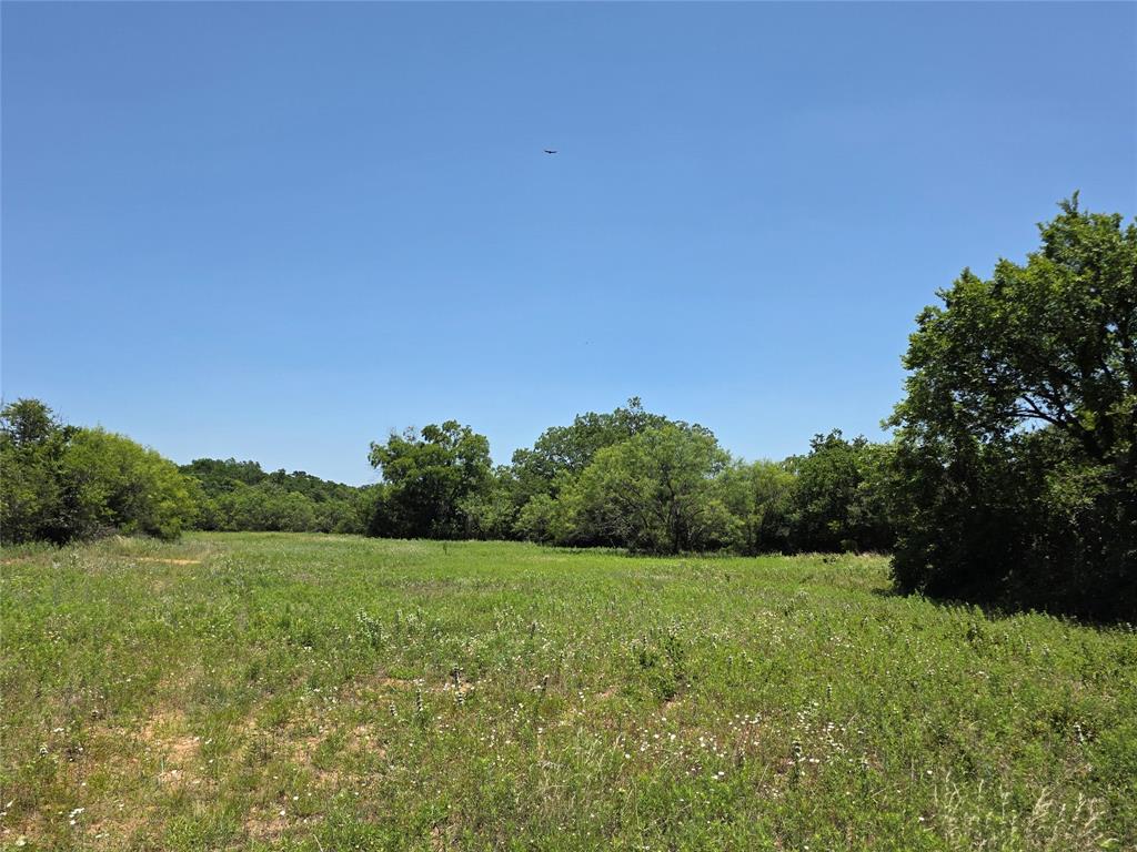 16695 County Road 421 Property Photo 40