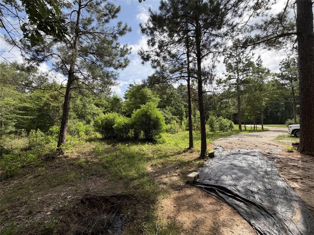 6572 S Fm 31 Property Photo 8