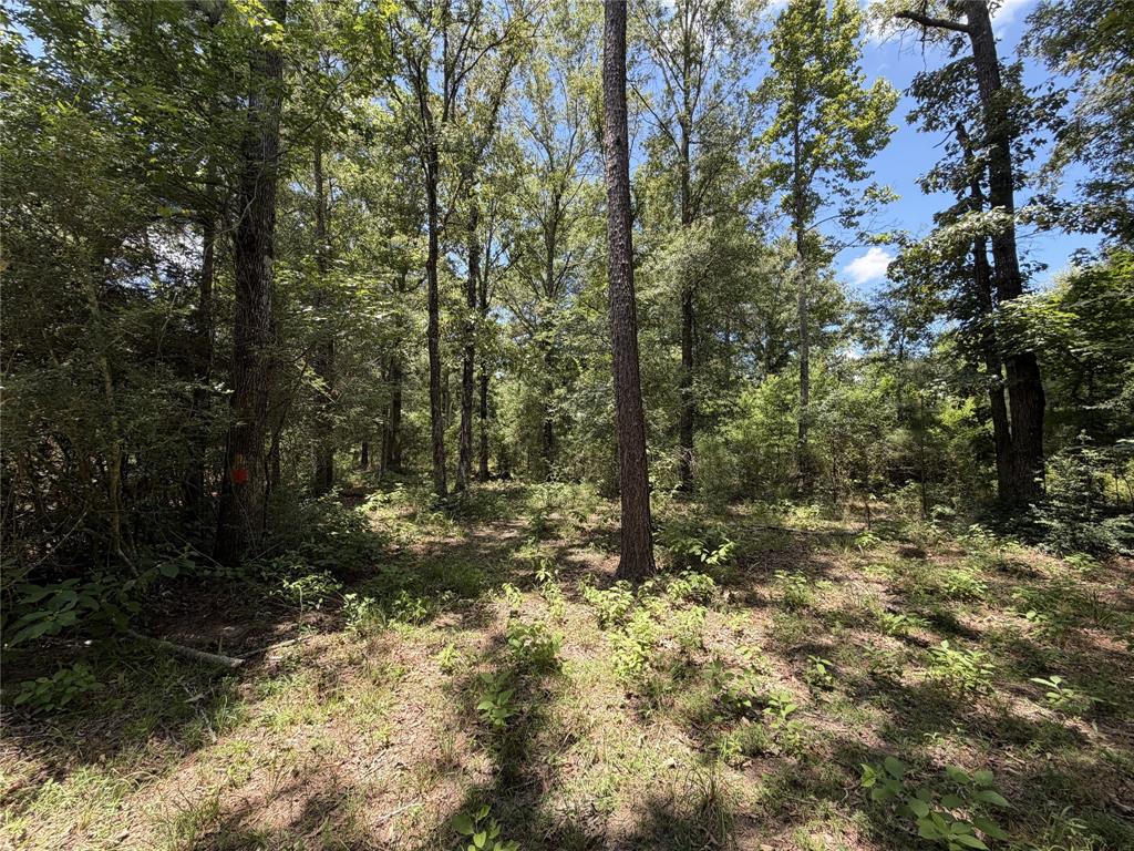 6572 S Fm 31 Property Photo 16