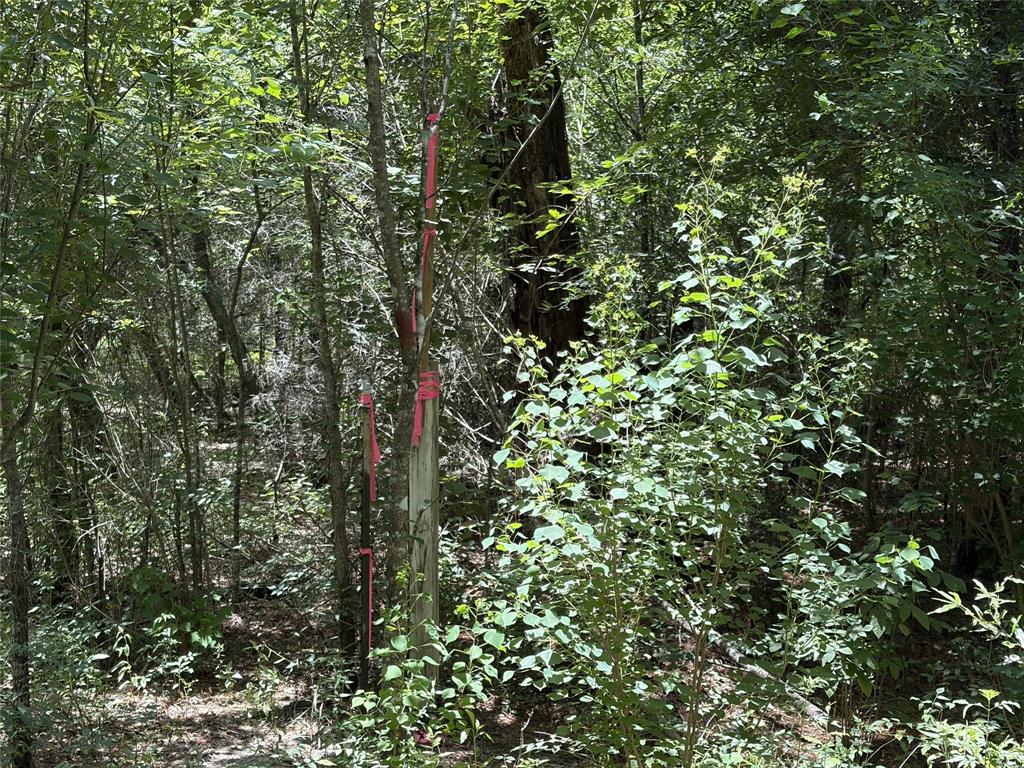 6572 S Fm 31 Property Photo 17