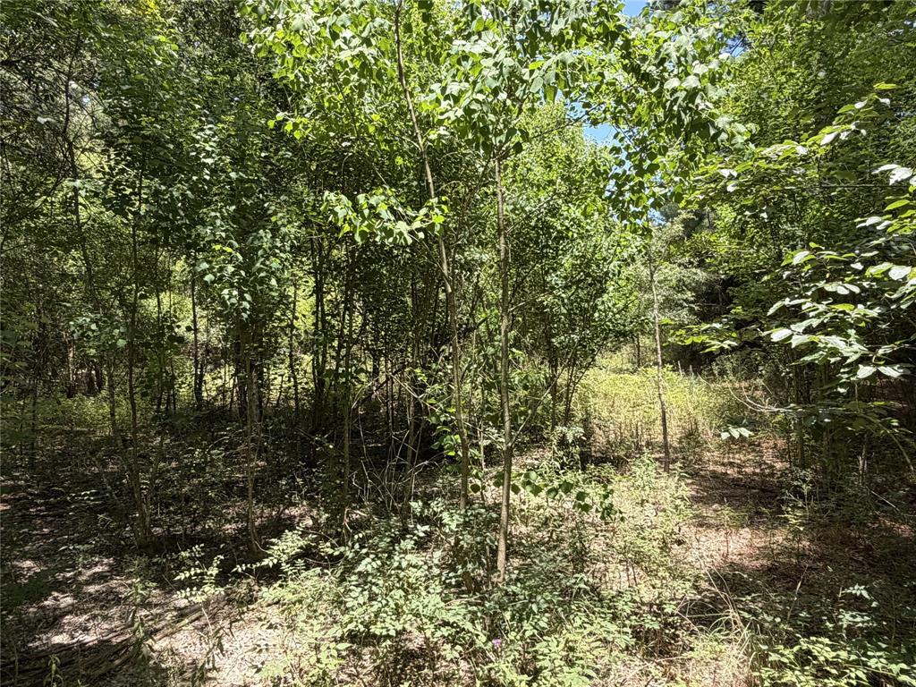 6572 S Fm 31 Property Photo 18