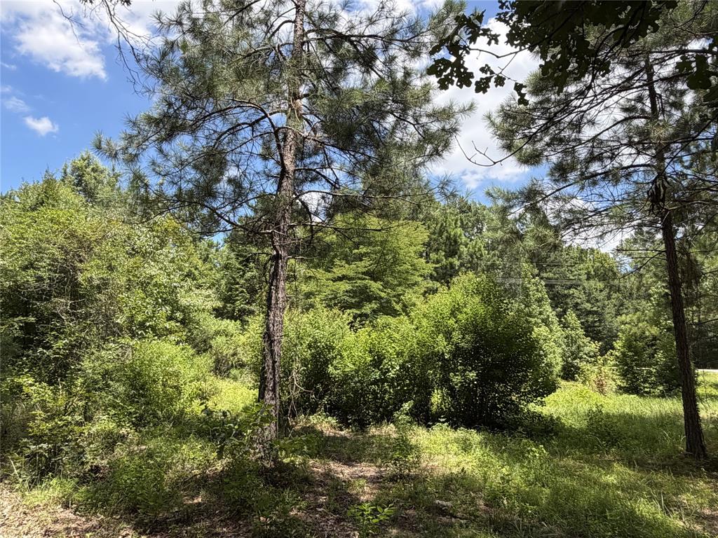 6572 S Fm 31 Property Photo 20