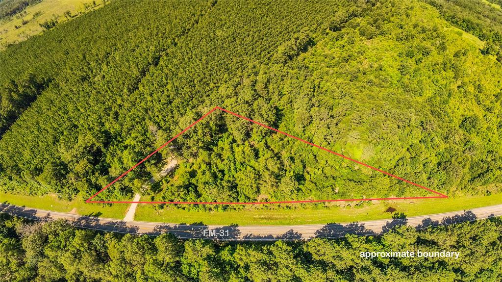 6572 S Fm 31 Property Photo 28