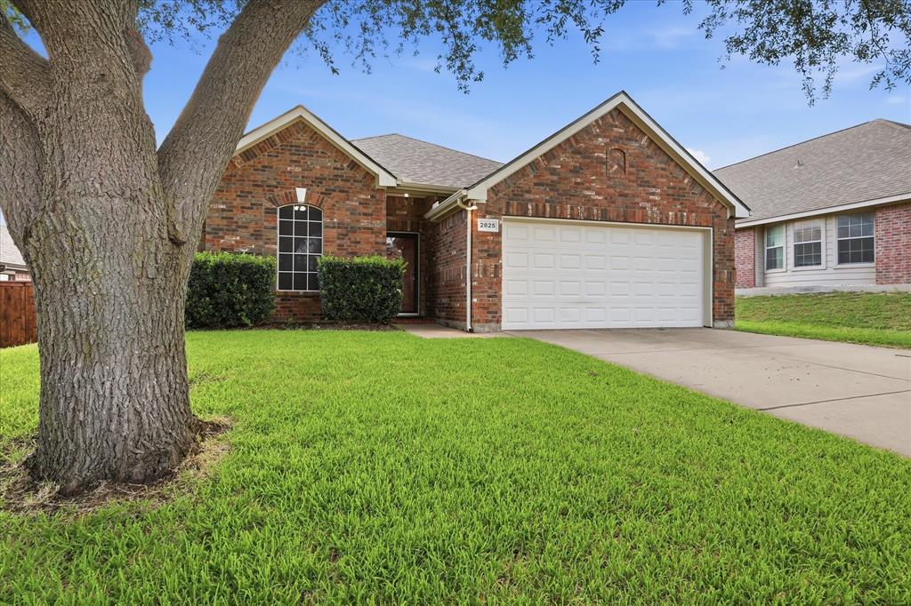 2825 Saddlebred Trail Property Photo 4