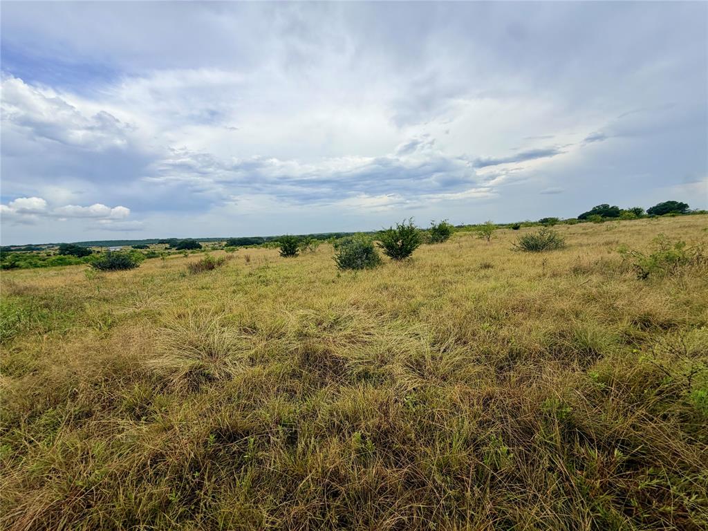 104 Live Oak Mott Drive Property Photo 5