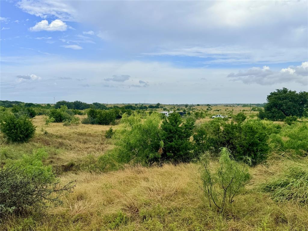 104 Live Oak Mott Drive Property Photo 11