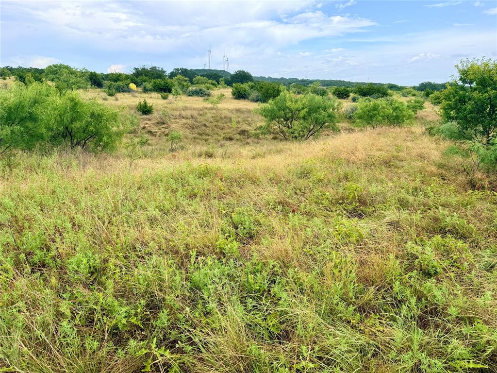 104 Live Oak Mott Drive Property Photo 12