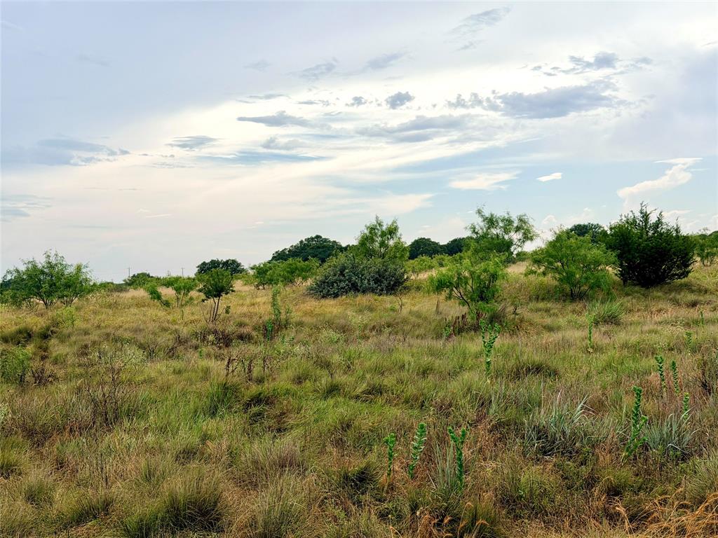 104 Live Oak Mott Drive Property Photo 19