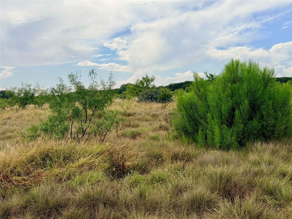 104 Live Oak Mott Drive Property Photo 22