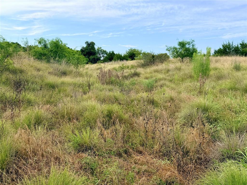 104 Live Oak Mott Drive Property Photo 33