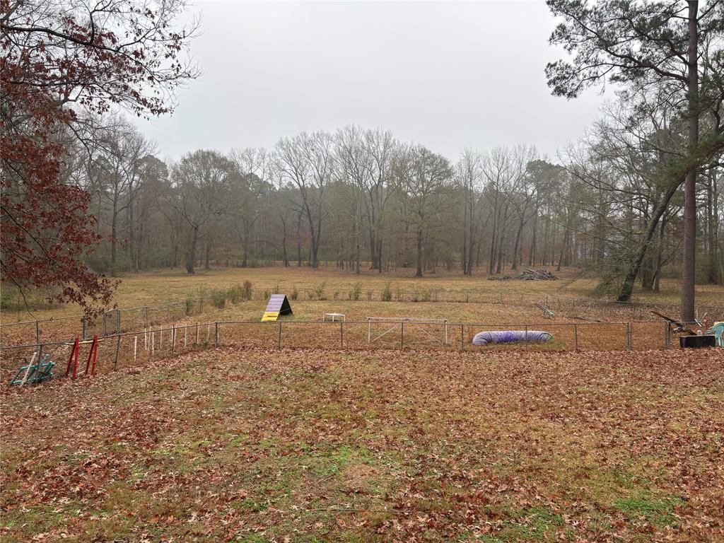 6955 Alvin York Lane Property Photo 8