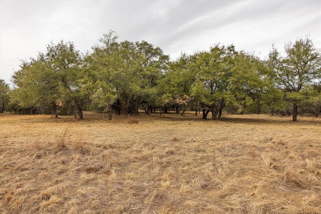 Tbd Cr 1012 Property Photo 6