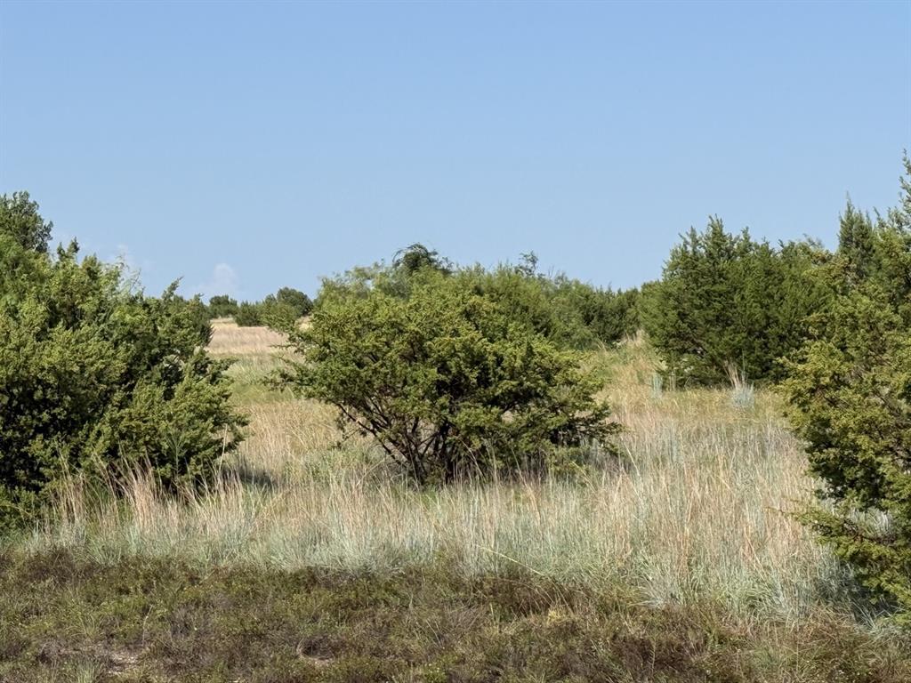 706 Rory Crossing Property Photo 3