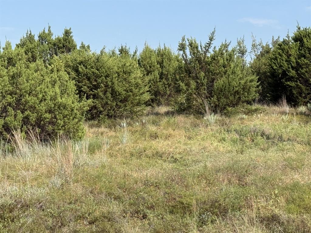 706 Rory Crossing Property Photo 5