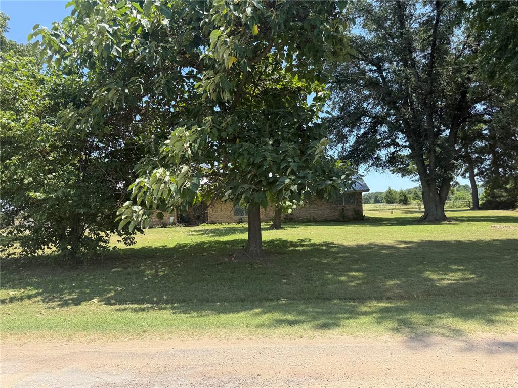 446 County Road 1605 Property Photo 4