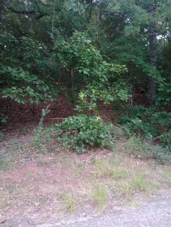 0000 Wildwood Property Photo 1