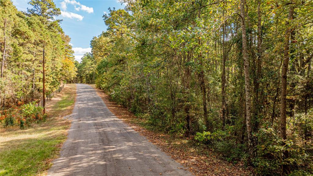 TBD County Road 4558 Property Photo 1