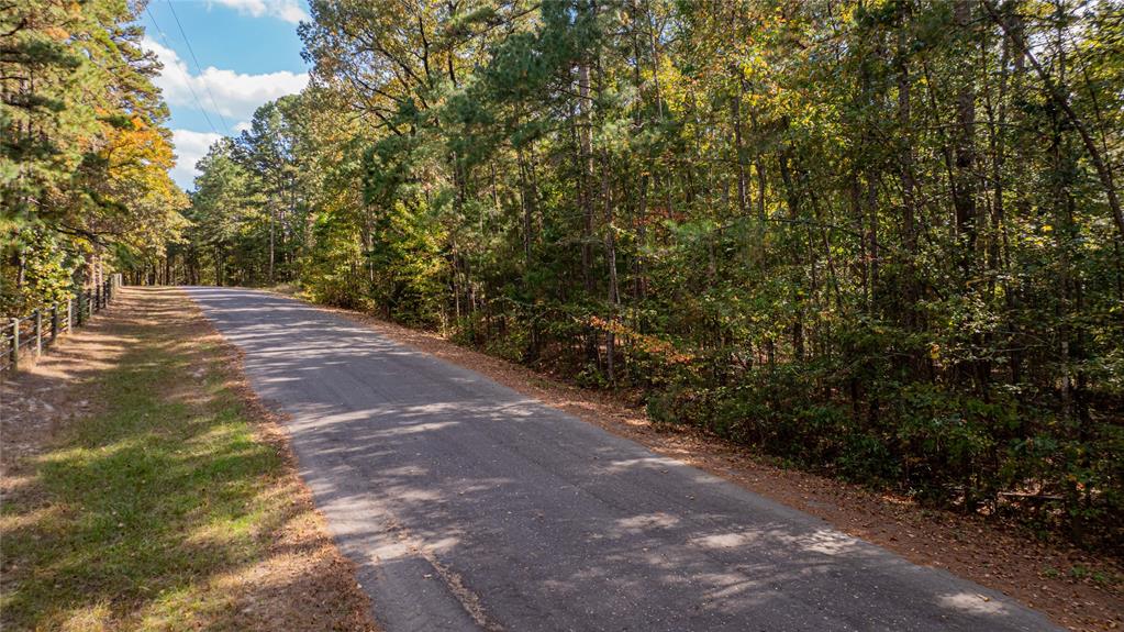 Tbd County Road 4558 Property Photo 4