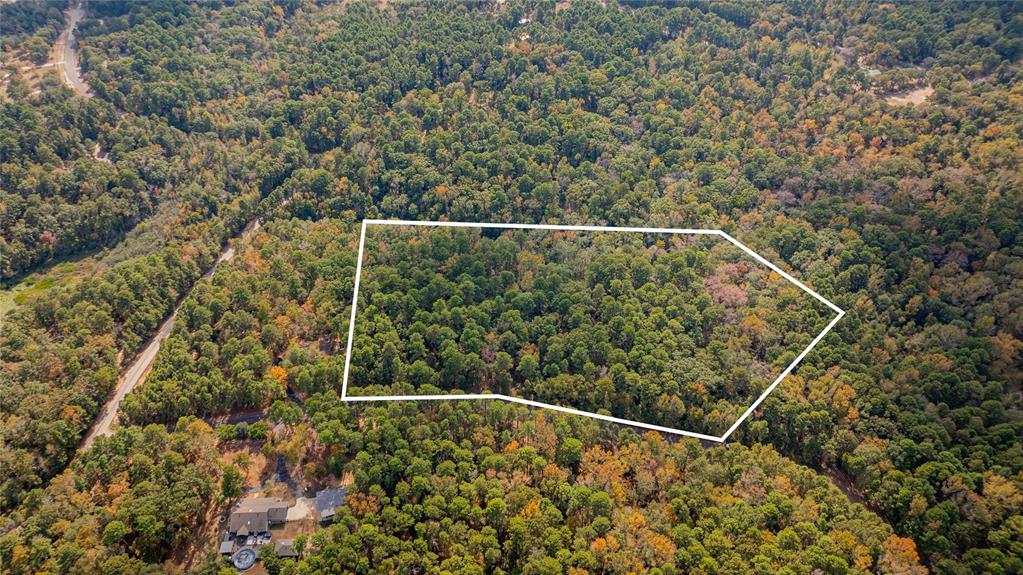 Tbd County Road 4558 Property Photo 6