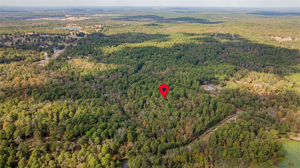 Tbd County Road 4558 Property Photo 7