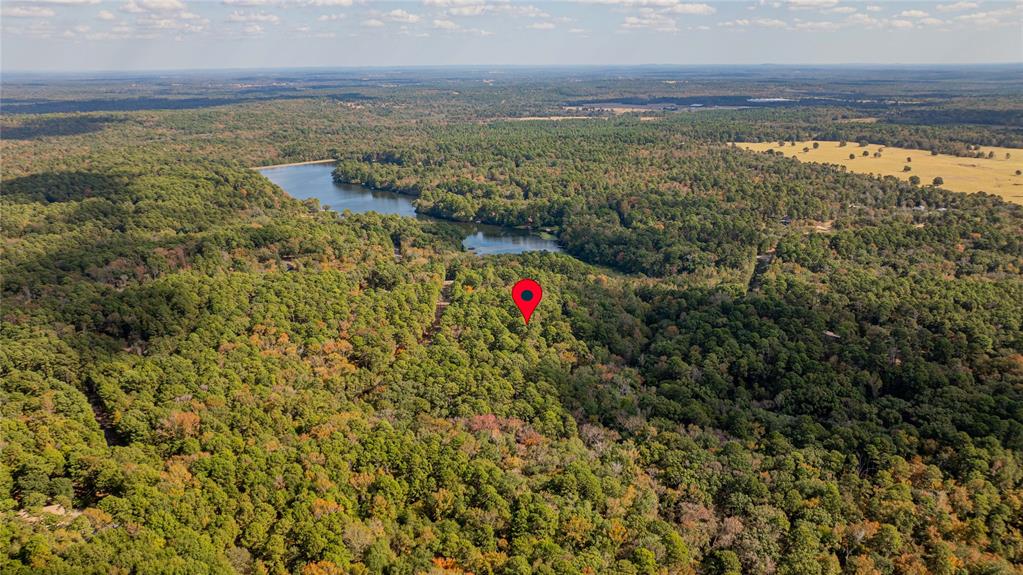 Tbd County Road 4558 Property Photo 8