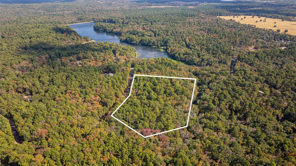 Tbd County Road 4558 Property Photo 9