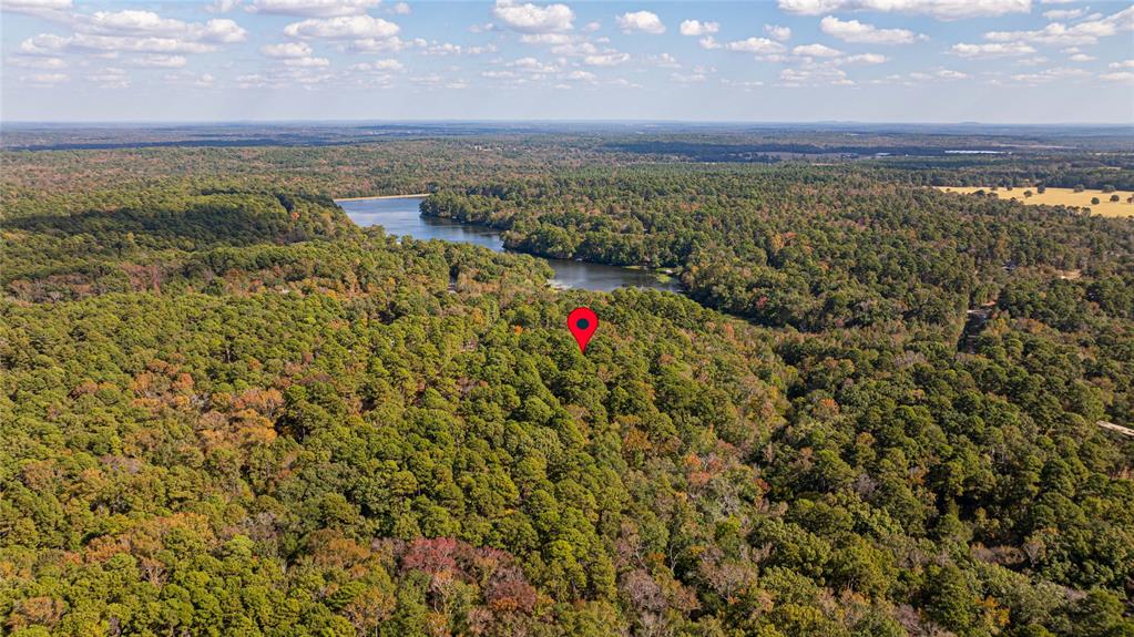 Tbd County Road 4558 Property Photo 10