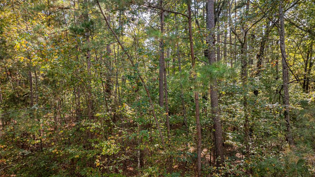 Tbd County Road 4558 Property Photo 14