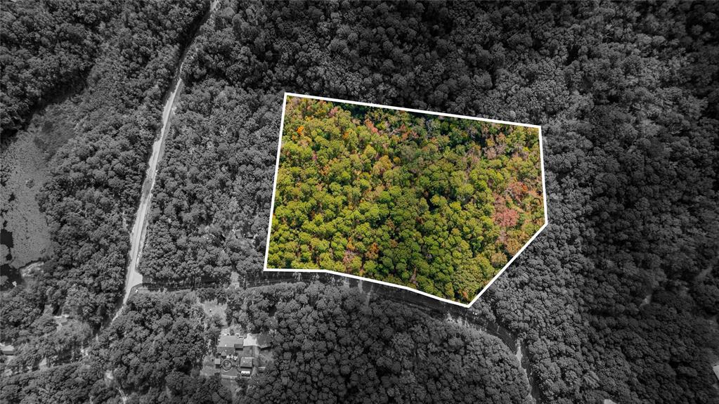 Tbd County Road 4558 Property Photo 16