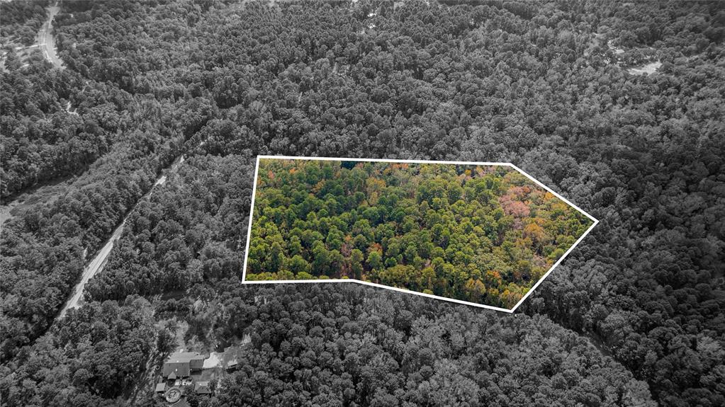 Tbd County Road 4558 Property Photo 17