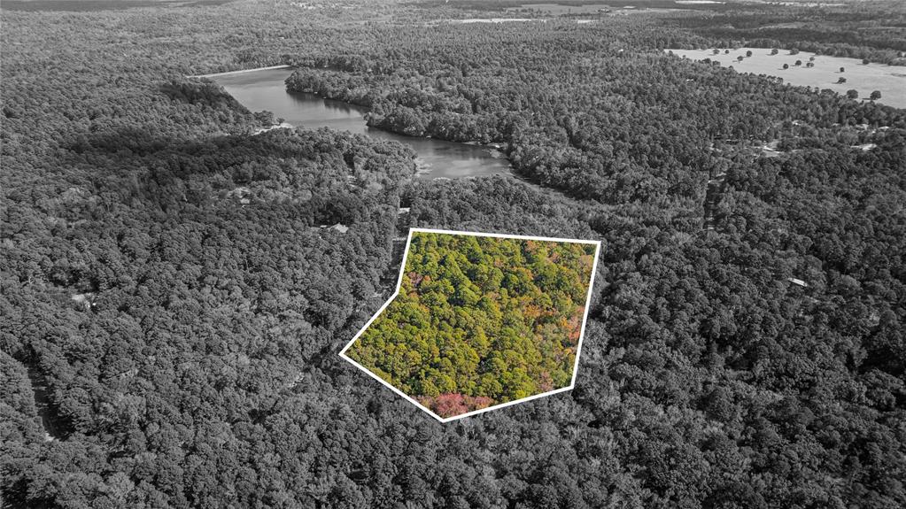 Tbd County Road 4558 Property Photo 18