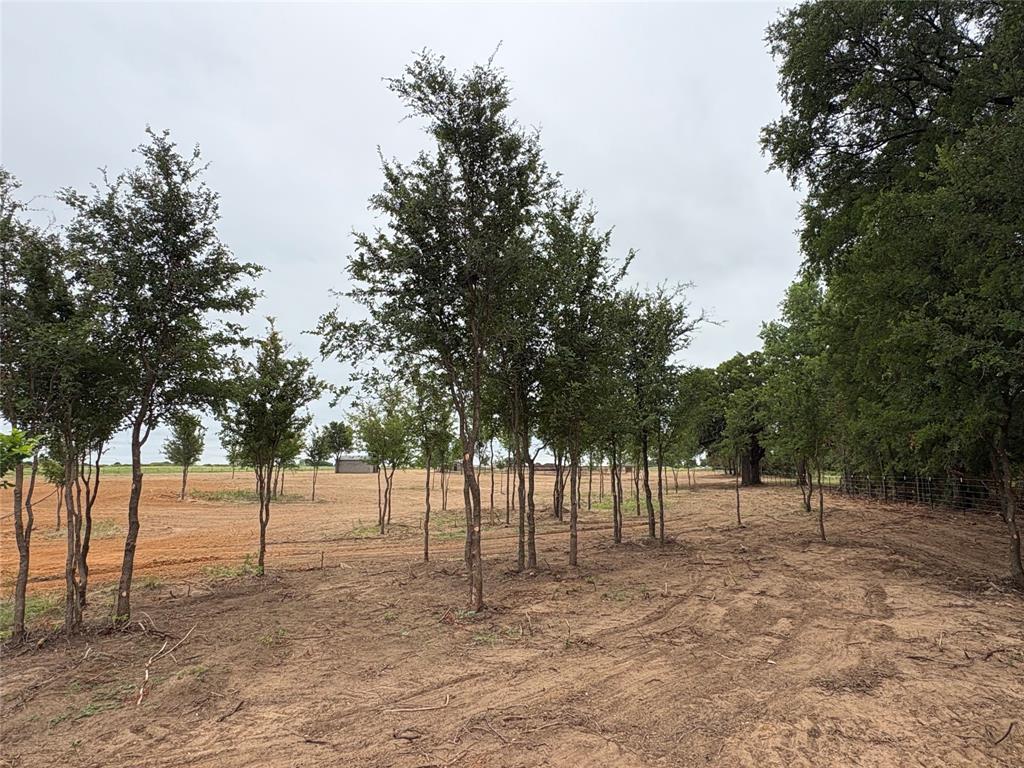 Tbd Hwy 8 Property Photo 14