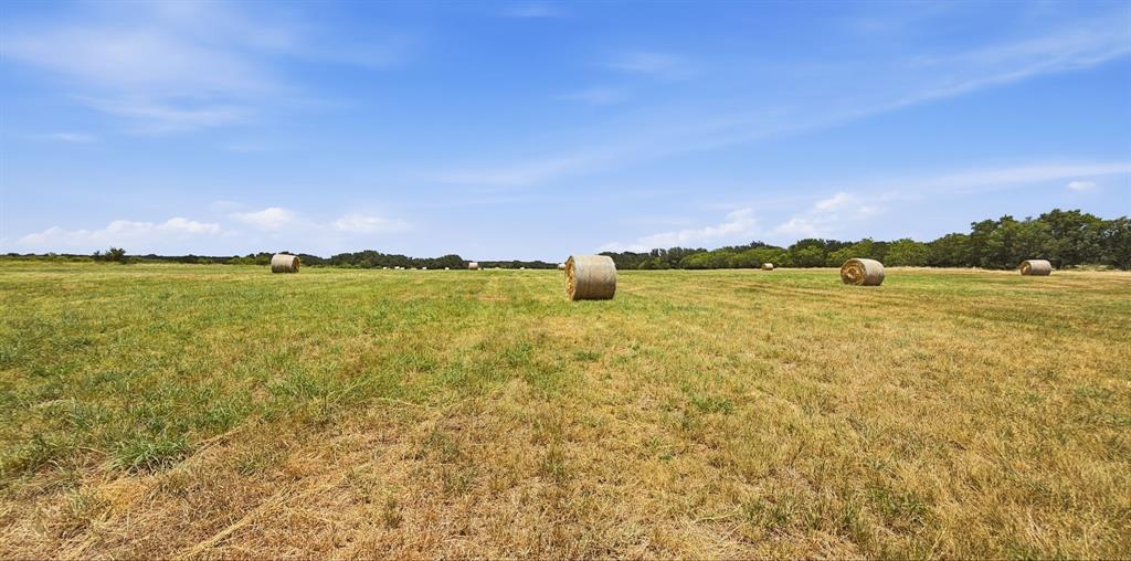 2875 County Road 610 Property Photo 7