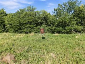 Tbd Vz Cr 3815 Property Photo 12