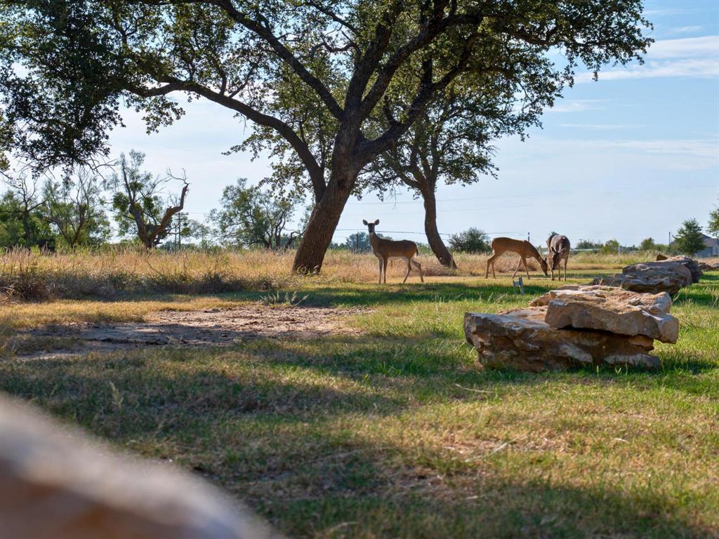 Lot 207 Castle Harbour Loop Property Photo 10