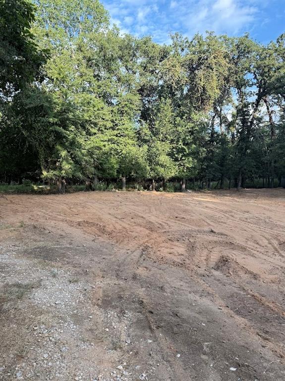 1624 Mockingbird Lane Property Photo 4