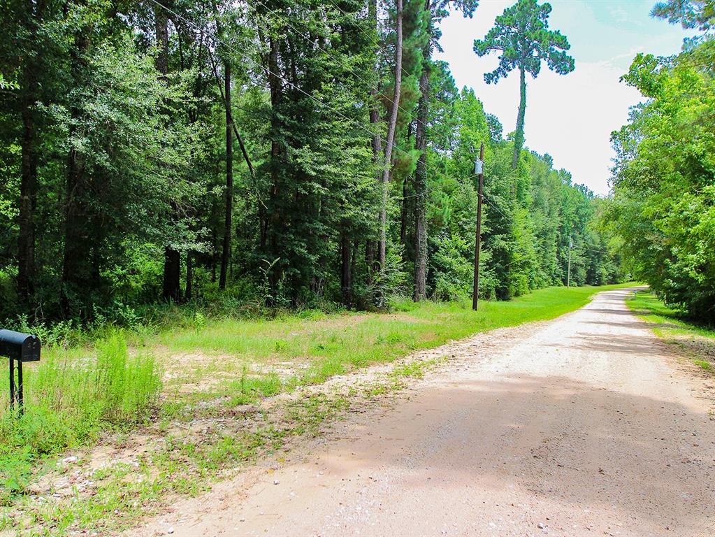 105 Gourd Creek Drive Property Photo 3