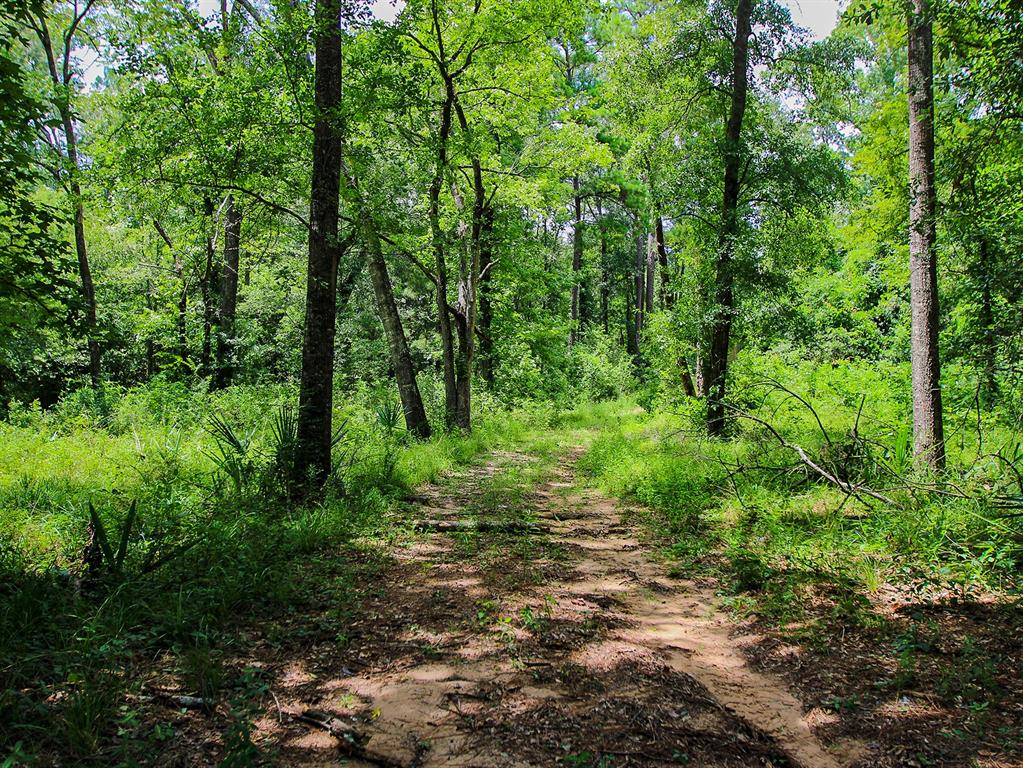 105 Gourd Creek Drive Property Photo 4