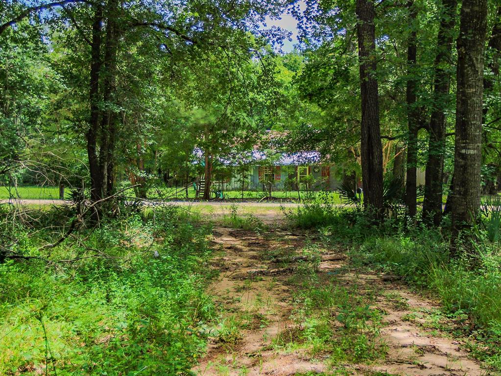 105 Gourd Creek Drive Property Photo 5