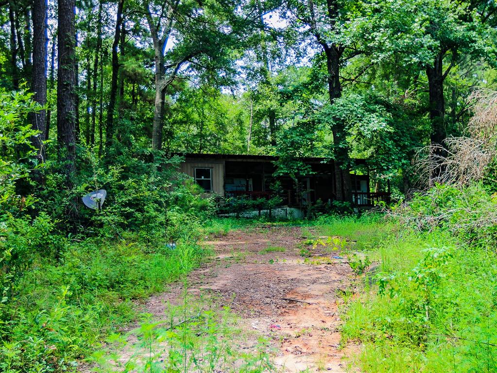 105 Gourd Creek Drive Property Photo 6