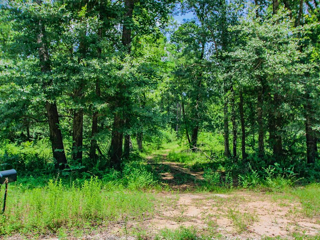 105 Gourd Creek Drive Property Photo 7