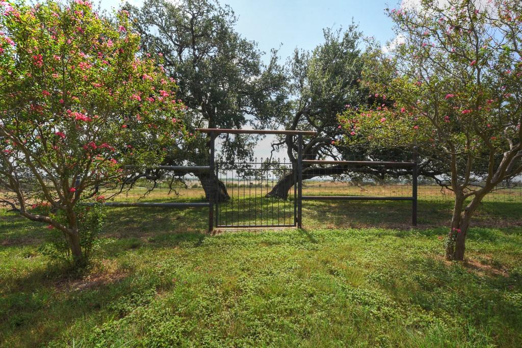 6887 Von Ormy Road Property Photo 21