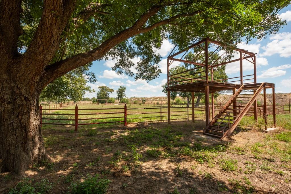 6887 Von Ormy Road Property Photo 25