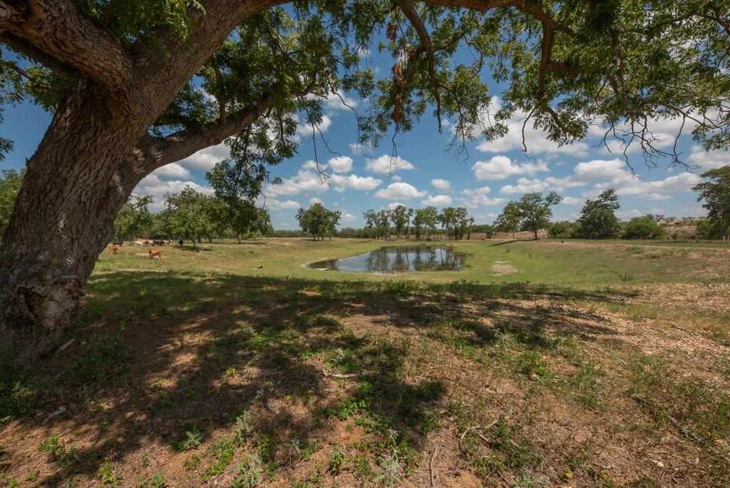 6887 Von Ormy Road Property Photo 27