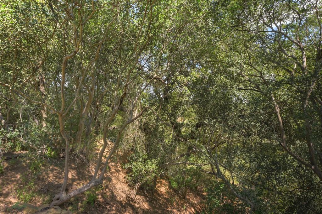 6887 Von Ormy Road Property Photo 40
