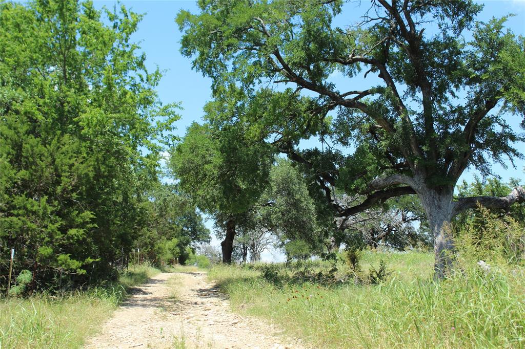 Tbd Hay Valley Road Property Photo 9