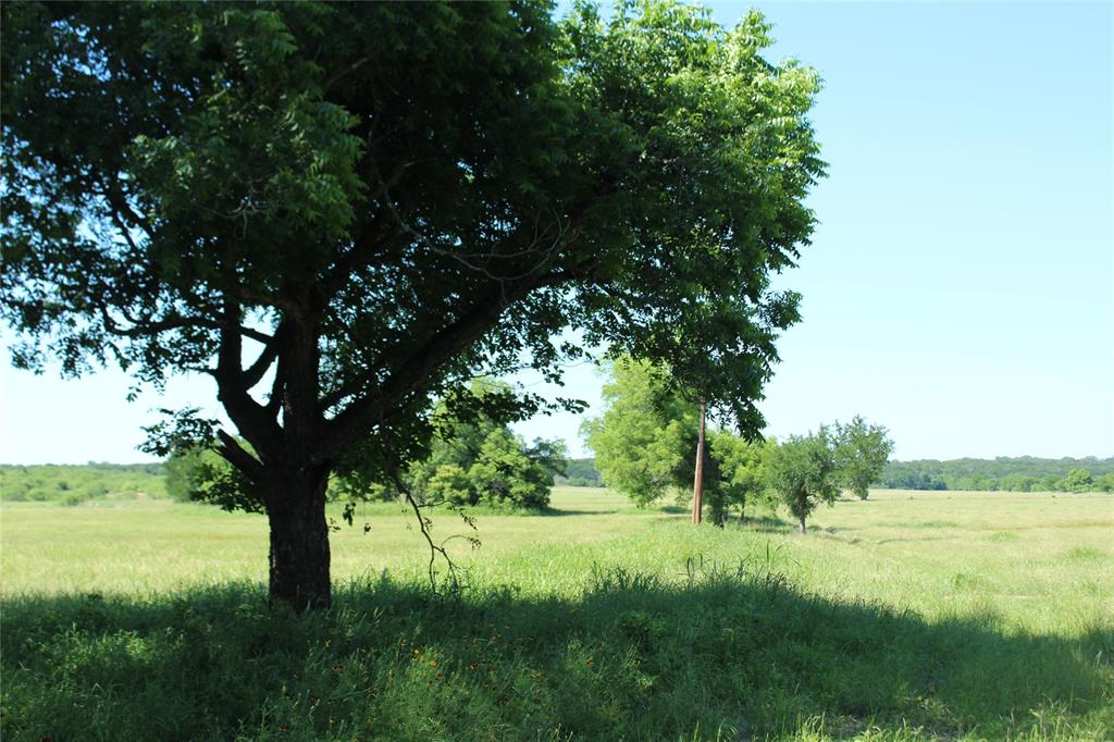 Tbd Hay Valley Road Property Photo 11