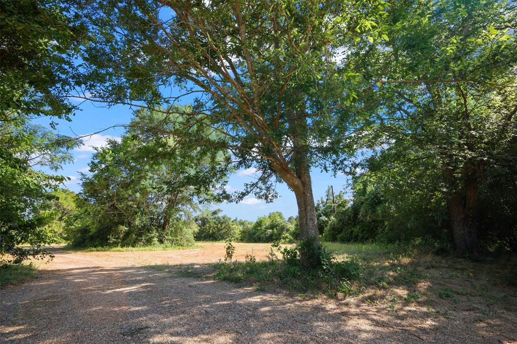 28300 County Road 2100 Property Photo 35